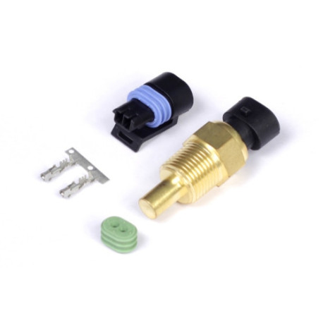 Motec Haltech Coolant Temp Sensor - Large Thread 3/8 NPT 18TPI | race-shop.hu