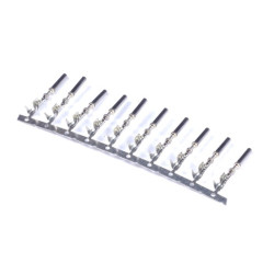 Haltech ECU Pins Only AMP Superseal Pack of 10