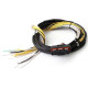 Haltech Haltech HPI8 - High Power Igniter - 2m Flying Lead Loom Only | race-shop.hu