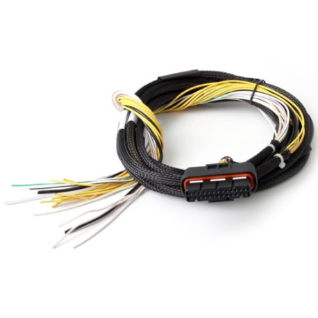Haltech Haltech HPI8 - High Power Igniter - 2m Flying Lead Loom Only | race-shop.hu