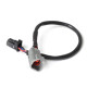 Motec Haltech CAN Ada Cable DTM-4 F to 8 pin Black Tyco 75mm (3") | race-shop.hu