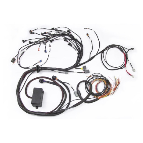 Haltech Haltech E2000/2500 RB Terminated Engine Harness Only | race-shop.hu