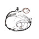 Haltech Haltech Elite 1000/1500 Maz 13B S6-8 Term Harn Only IGN-1A i | race-shop.hu