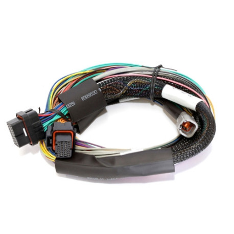 Haltech Haltech Elite 1500 - 2.5m (8 ft) Basic Uni Wire-in Harn Only | race-shop.hu
