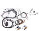Haltech Haltech RB Twin CAM Main Harn, CAS Breakout, No Ignition Bre | race-shop.hu