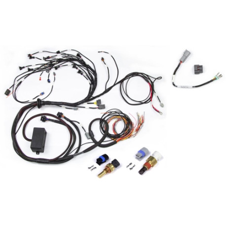 Haltech Haltech RB Twin CAM Main Harn, CAS Breakout, No Ignition Bre | race-shop.hu