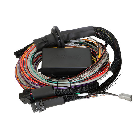 Haltech Haltech Elite 2500 - 2.5m (8 ft) Premium Uni Wire-in Harness | race-shop.hu