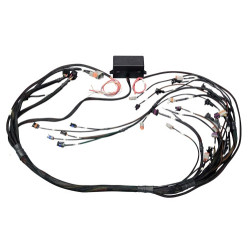 Haltech Elite 2500 GM GEN IV LS2 DBW Ready Term Harn Only EV