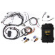 Motec Haltech RB Twin CAM Elite 2500 ECU, Main Harn, CAS Breakout, | race-shop.hu