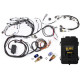 Haltech Haltech RB Twin CAM Elite 2500 ECU, Main Harn, CAS Breakout, | race-shop.hu