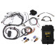 Motec Haltech RB Single Cam Elite 2500 ECU Harness Kit | race-shop.hu