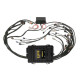 Haltech Haltech Elite 2500 GM GEN III LS1 non DBW Term Harn Kit EV1 | race-shop.hu