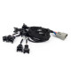 Haltech Haltech Nexus Rebel LS - LS EV1 Injector Sub Harness | race-shop.hu