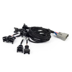 Haltech Nexus Rebel LS - LS EV1 Injector Sub Harness