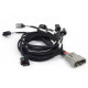 Haltech Haltech Nexus Rebel LS - Multec 2 Injector Sub Harness | race-shop.hu