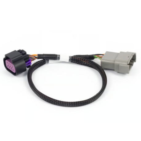 Motec Haltech Nexus Rebel LS - 8-pin DBW Adaptor | race-shop.hu