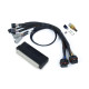 Haltech Haltech Nexus S2/S3 Plug `n` Play Adapter Harness Honda DC5 | race-shop.hu