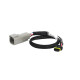 Haltech Haltech CAN Adaptor Loom DTM-4 to Molex Mizu-P25 - Suits Hol | race-shop.hu