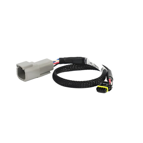 Haltech Haltech CAN Adaptor Loom DTM-4 to Molex Mizu-P25 - Suits Hol | race-shop.hu