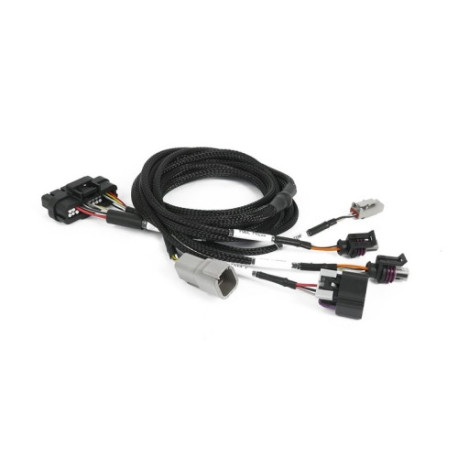 Motec Haltech Nexus Plug-in IO Expansion Harness 2.5m (8`) | race-shop.hu