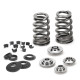 Motor alkatrészek SUPERTECH Valve Spring Kit Mitsubishi 4G63 | race-shop.hu