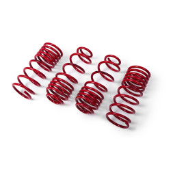 Lowering springs MTS Technik BMW 5 Touring (F11) 09/11 - 02/17, 30 mm / -