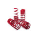 MTS Technik komplet Lowering springs MTS Technik Seat ATECA (KH) 04/16 -, 30 mm / 30 mm | race-shop.hu