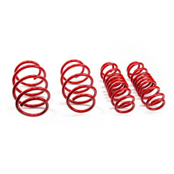 Lowering springs MTS Technik Seat LEON SC (5F) 10/13 - 07/20, 25 mm / 25 mm