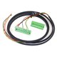 New RWD POWER CAN Bus Wiring Harness for DASH5 / DASH7 | race-shop.hu