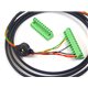 New RWD POWER CAN Bus Wiring Harness for DASH5 / DASH7 | race-shop.hu