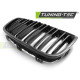 Body kitek és vizuális kiegészítők TUNING-TEC hűtőrács (Double Bar Sport Look) BMW F20 F21 11-12.14-hez, fényes fekete | race-shop.hu