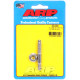 ARP csavarok ARP légszűrő-tőcsavar (rozsdamentes), 5/16, V1 | race-shop.hu