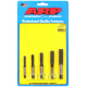 ARP csavarok ARP menettisztító, V1 | race-shop.hu