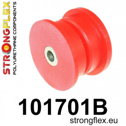 STRONGFLEX - 101701B: Hátsó diferenciálmű szilent