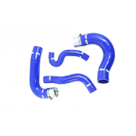 Renault Silicone Boost Hoses for the Renault Clio Sport 1.6 Turbo 200 | race-shop.hu