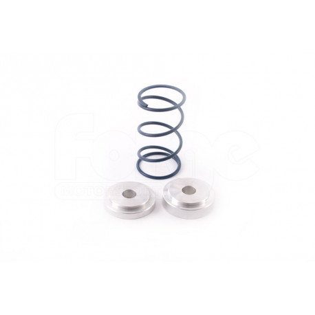 FORGE Motorsport FMDVRAYV2 Egyedi rugók | race-shop.hu