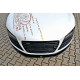 Body kitek és vizuális kiegészítők Első Splitter AUDI R8 Mk.1 | race-shop.hu