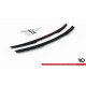Body kitek és vizuális kiegészítők Szpoiler sapka AUDI S8 D3 | race-shop.hu