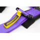 Biztonsági övek 5 pontos sport biztonsági öv RACES Motorsport 3" (76mm), lila | race-shop.hu