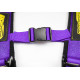 Biztonsági övek 5 pontos sport biztonsági öv RACES Motorsport 3" (76mm), lila | race-shop.hu